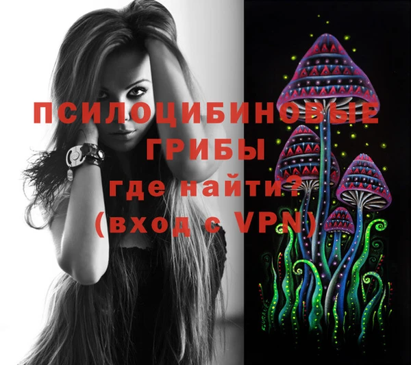 МДПВ Зеленодольск