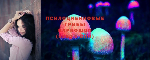МДПВ Зеленодольск