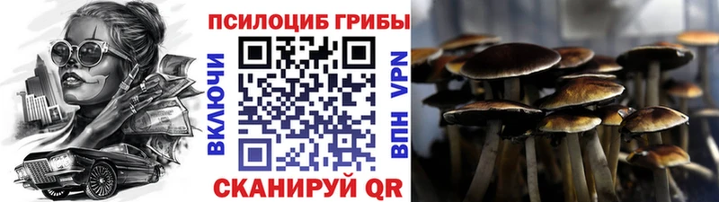 Купить где  Тогучин  Галлюциногенные грибы GOLDEN TEACHER 